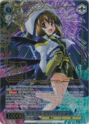 夜天の書と共に はやて【LCR】