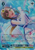 “君の夢が輝くなら”花園たえ【BDR】