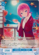 月見酒に酔いしれて 風実花【TD】