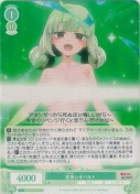 変身 レオパルト