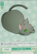 生ける伝説 ノラ