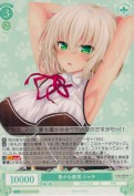 豊かな感情 シャチ