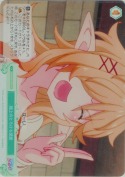極上のとろける感覚【SR】