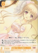 家族で恋人でお隣さん メリル【R】