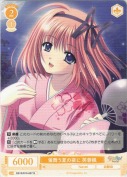 蛍舞う夏の夜に 芙蓉楓【R】