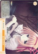 夏の夜の約束