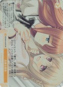 危険な関係【SR】