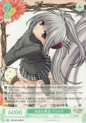 白玉と黒玉 プリムラ