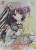 秋風が吹く季節 渡来明日香【OFR】