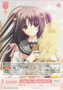 秋風が吹く季節 渡来明日香【RR】