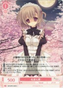 名波七愛
