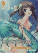 血統書付きロックンローラー猫 景子【OFR】