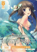 血統書付きロックンローラー猫 景子【RR】