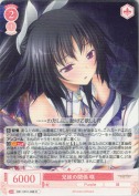 兄妹の関係 咲【R】