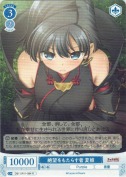 絶望をもたらす者 夏姫【R】