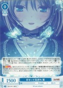 好きって気持ち 葵
