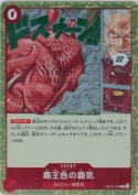 覇王色の覇気【R】